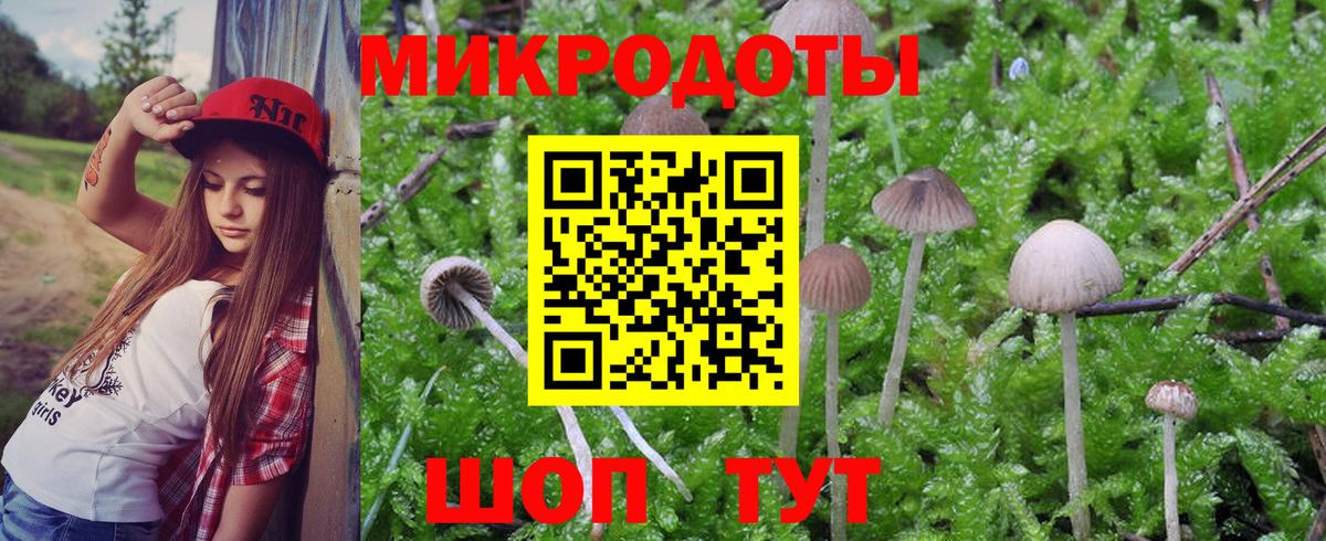 Первоуральск  Псилоцибиновые грибы Cubensis  Вход с VPN 